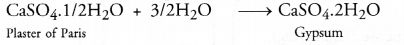 study rankers class 10 science Chapter 2 Acids Bases and Salts 5